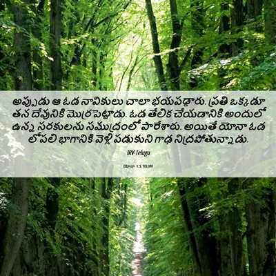 Picture 06 - యోనా 1:5 TELIRV - అప్పుడు ఆ ఓడ - Bible Verse Picture