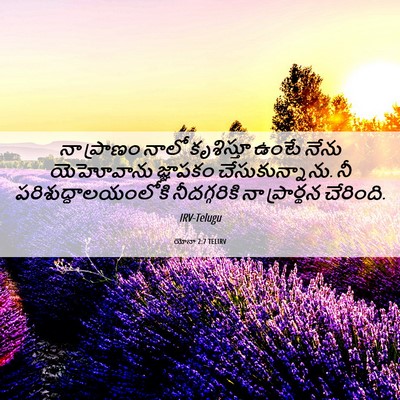 Picture 06 - యోనా 2:7 TELIRV - నా ప్రాణం నాలో - Bible Verse Picture