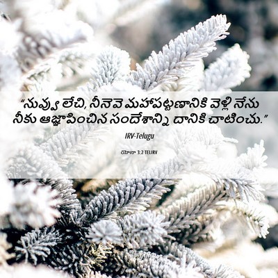 Picture 06 - యోనా 3:2 TELIRV - “నువ్వు లేచి, - Bible Verse Picture