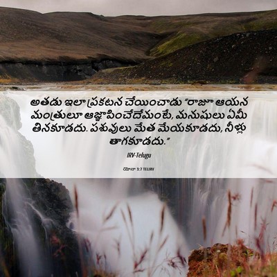 Picture 06 - యోనా 3:7 TELIRV - అతడు ఇలా ప్రకటన - Bible Verse Picture