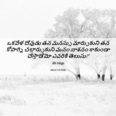 Picture 06 - యోనా 3:9 TELIRV - ఒకవేళ దేవుడు తన - Bible Verse Picture