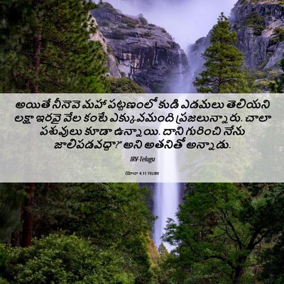 Picture 06 - యోనా 4:11 TELIRV - అయితే నీనెవె మహా - Bible Verse Picture