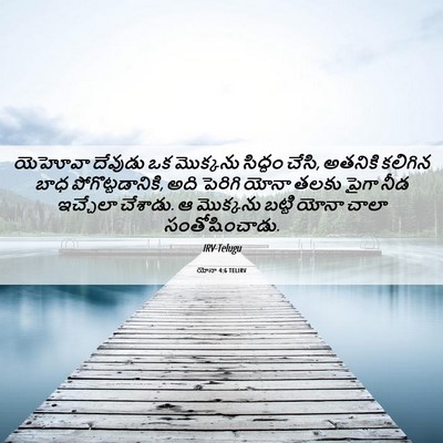 Picture 06 - యోనా 4:6 TELIRV - యెహోవా దేవుడు ఒక - Bible Verse Picture