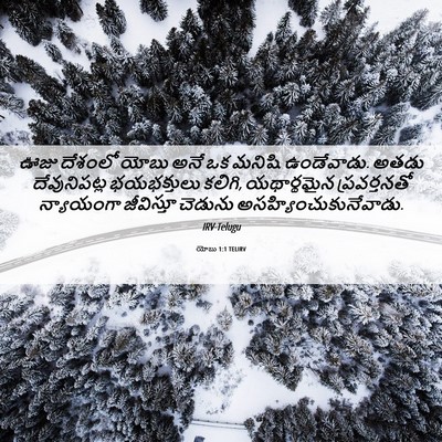 Picture 06 - యోబు 1:1 TELIRV - ఊజు దేశంలో యోబు - Bible Verse Picture