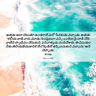 Picture 06 - యోబు 1:17 TELIRV - అతడు అలా చెబుతూ - Bible Verse Picture