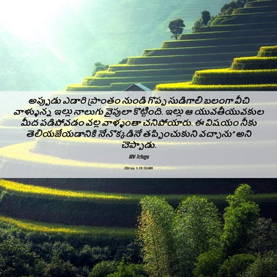 Picture 06 - యోబు 1:19 TELIRV - అప్పుడు ఎడారి - Bible Verse Picture