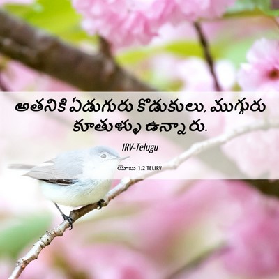 Picture 06 - యోబు 1:2 TELIRV - అతనికి ఏడుగురు - Bible Verse Picture
