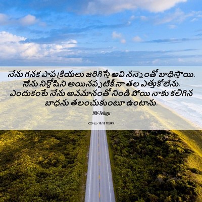 Picture 06 - యోబు 10:15 TELIRV - నేను గనక పాప - Bible Verse Picture