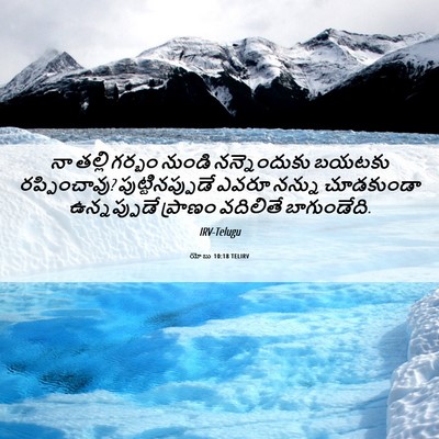 Picture 06 - యోబు 10:18 TELIRV - నా తల్లి గర్భం - Bible Verse Picture