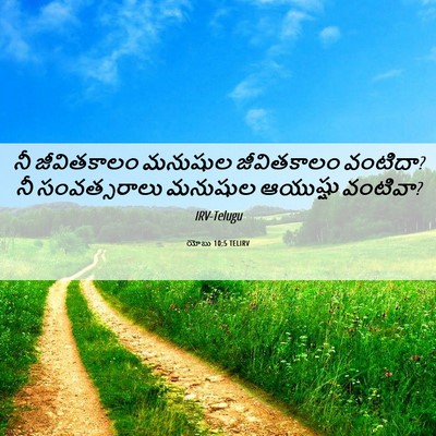 Picture 06 - యోబు 10:5 TELIRV - నీ జీవితకాలం - Bible Verse Picture