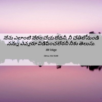 Picture 06 - యోబు 10:6 TELIRV - నేను ఎలాంటి నేరం - Bible Verse Picture