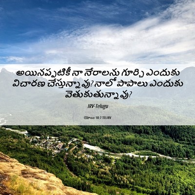 Picture 06 - యోబు 10:7 TELIRV - అయినప్పటికీ నా - Bible Verse Picture
