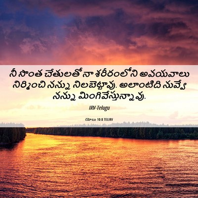Picture 06 - యోబు 10:8 TELIRV - నీ సొంత చేతులతో నా - Bible Verse Picture