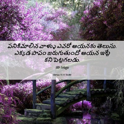 Picture 06 - యోబు 11:11 TELIRV - పనికిమాలిన వాళ్ళు - Bible Verse Picture
