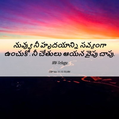 Picture 06 - యోబు 11:13 TELIRV - నువ్వు నీ - Bible Verse Picture