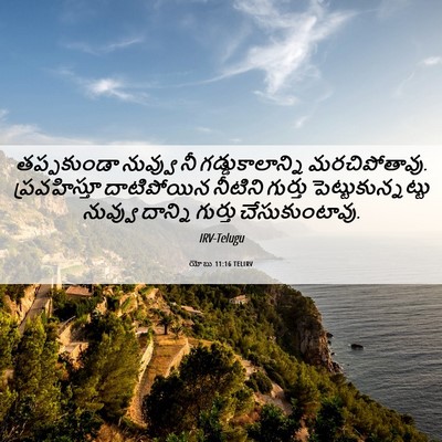 Picture 06 - యోబు 11:16 TELIRV - తప్పకుండా నువ్వు - Bible Verse Picture