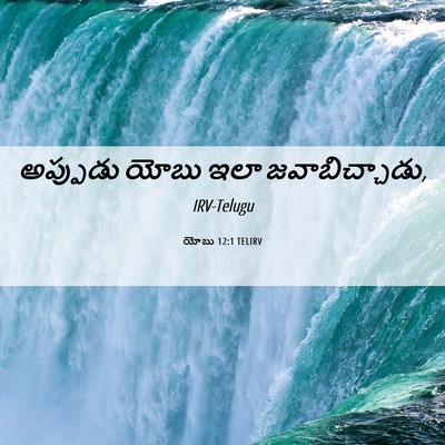 Picture 06 - యోబు 12:1 TELIRV - అప్పుడు యోబు ఇలా - Bible Verse Picture