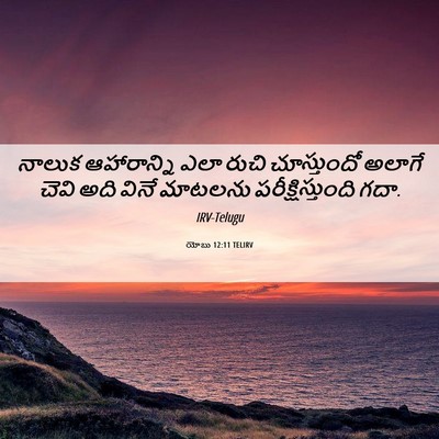 Picture 06 - యోబు 12:11 TELIRV - నాలుక ఆహారాన్ని - Bible Verse Picture