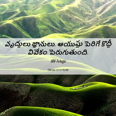 Picture 06 - యోబు 12:12 TELIRV - వృద్ధులు - Bible Verse Picture