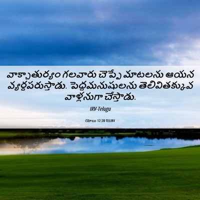 Picture 06 - యోబు 12:20 TELIRV - వాక్చాతుర్యం - Bible Verse Picture