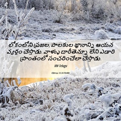 Picture 06 - యోబు 12:24 TELIRV - లోకంలోని ప్రజల, - Bible Verse Picture