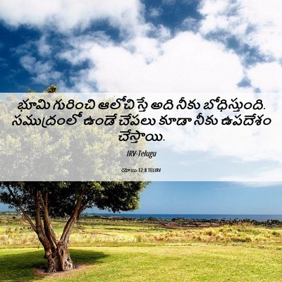 Picture 06 - యోబు 12:8 TELIRV - భూమి గురించి - Bible Verse Picture