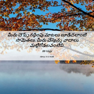 Picture 06 - యోబు 13:12 TELIRV - మీరు చెప్పే - Bible Verse Picture