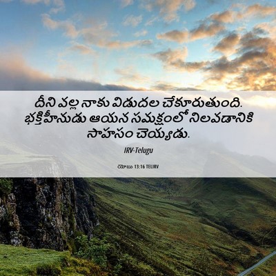 Picture 06 - యోబు 13:16 TELIRV - దీని వల్ల నాకు - Bible Verse Picture