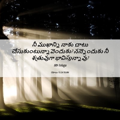 Picture 06 - యోబు 13:24 TELIRV - నీ ముఖాన్ని నాకు - Bible Verse Picture