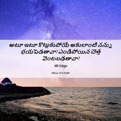 Picture 06 - యోబు 13:25 TELIRV - అటూ ఇటూ - Bible Verse Picture