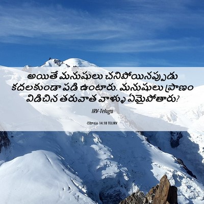Picture 06 - యోబు 14:10 TELIRV - అయితే మనుషులు - Bible Verse Picture