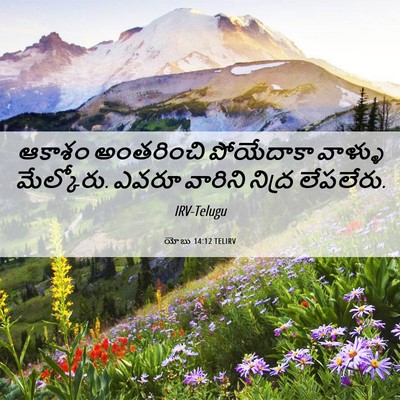 Picture 06 - యోబు 14:12 TELIRV - ఆకాశం అంతరించి - Bible Verse Picture