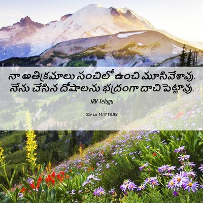 Picture 06 - యోబు 14:17 TELIRV - నా అతిక్రమాలు - Bible Verse Picture