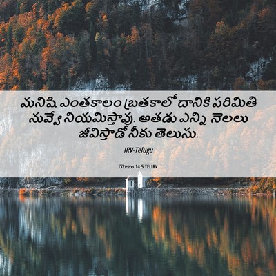 Picture 06 - యోబు 14:5 TELIRV - మనిషి ఎంతకాలం - Bible Verse Picture
