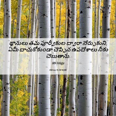 Picture 06 - యోబు 15:18 TELIRV - జ్ఞానులు తమ - Bible Verse Picture