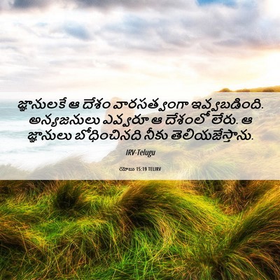 Picture 06 - యోబు 15:19 TELIRV - జ్ఞానులకే ఆ దేశం - Bible Verse Picture