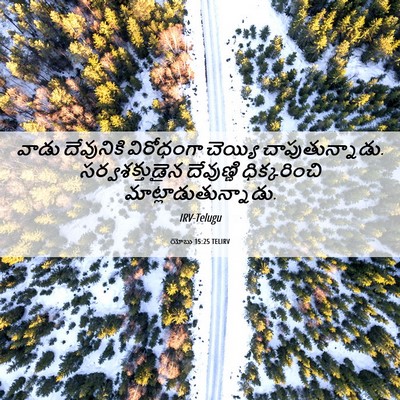 Picture 06 - యోబు 15:25 TELIRV - వాడు దేవునికి - Bible Verse Picture