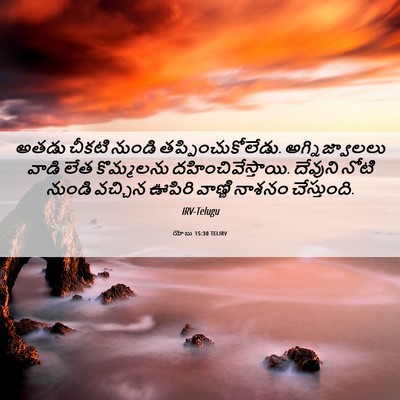 Picture 06 - యోబు 15:30 TELIRV - అతడు చీకటి నుండి - Bible Verse Picture