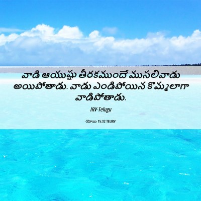 Picture 06 - యోబు 15:32 TELIRV - వాడి ఆయుష్షు - Bible Verse Picture