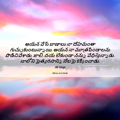 Picture 06 - యోబు 16:13 TELIRV - ఆయన వేసే బాణాలు నా - Bible Verse Picture