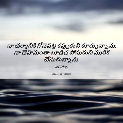 Picture 06 - యోబు 16:15 TELIRV - నా చర్మానికి - Bible Verse Picture