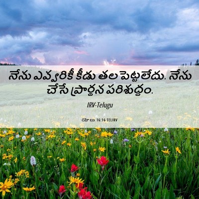 Picture 06 - యోబు 16:16 TELIRV - నేను ఎవ్వరికీ - Bible Verse Picture