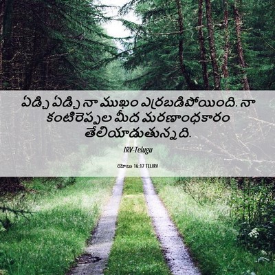 Picture 06 - యోబు 16:17 TELIRV - ఏడ్చి ఏడ్చి నా - Bible Verse Picture