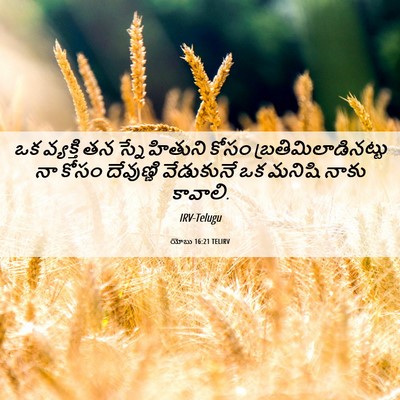 Picture 06 - యోబు 16:21 TELIRV - ఒక వ్యక్తి తన - Bible Verse Picture