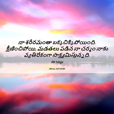 Picture 06 - యోబు 16:8 TELIRV - నా శరీరమంతా - Bible Verse Picture