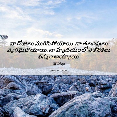 Picture 06 - యోబు 17:11 TELIRV - నా రోజులు - Bible Verse Picture