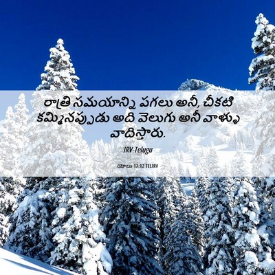 Picture 06 - యోబు 17:12 TELIRV - రాత్రి సమయాన్ని - Bible Verse Picture