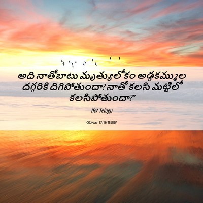 Picture 06 - యోబు 17:16 TELIRV - అది నాతోబాటు - Bible Verse Picture