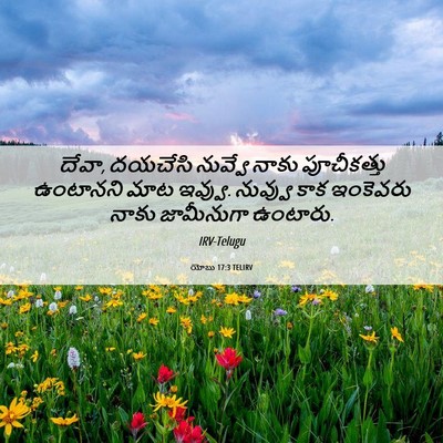 Picture 06 - యోబు 17:3 TELIRV - దేవా, దయచేసి - Bible Verse Picture