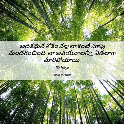 Picture 06 - యోబు 17:7 TELIRV - అధికమైన శోకం వల్ల - Bible Verse Picture